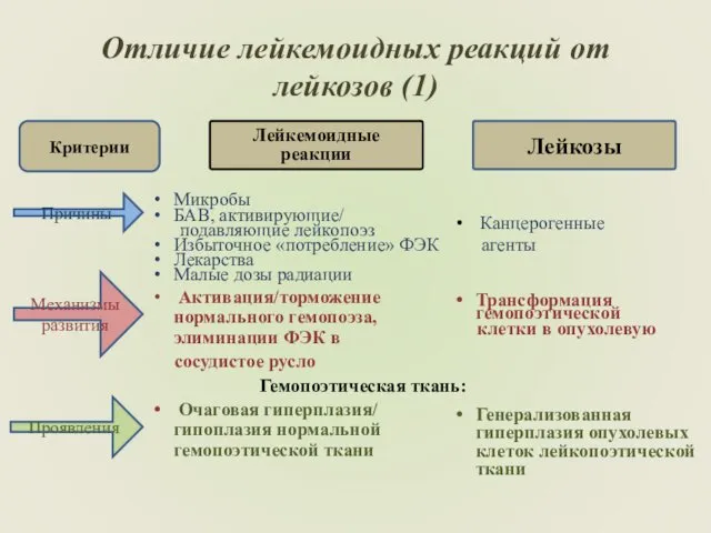 Отличие лейкемоидных реакций от лейкозов (1) Лейкемоидные реакции Микробы БАВ, активирующие/