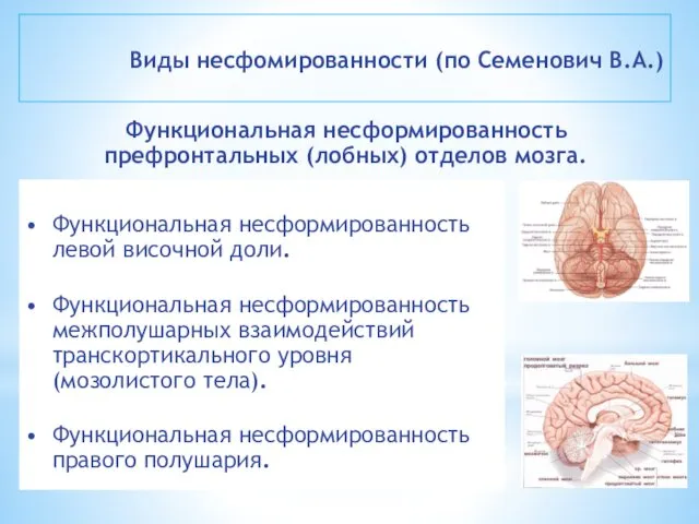 Виды несфомированности (по Семенович В.А.) Функциональная несформированность префронтальных (лобных) отделов мозга.