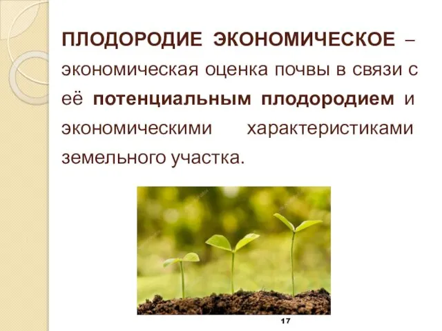 ПЛОДОРОДИЕ ЭКОНОМИЧЕСКОЕ – экономическая оценка почвы в связи с её потенциальным