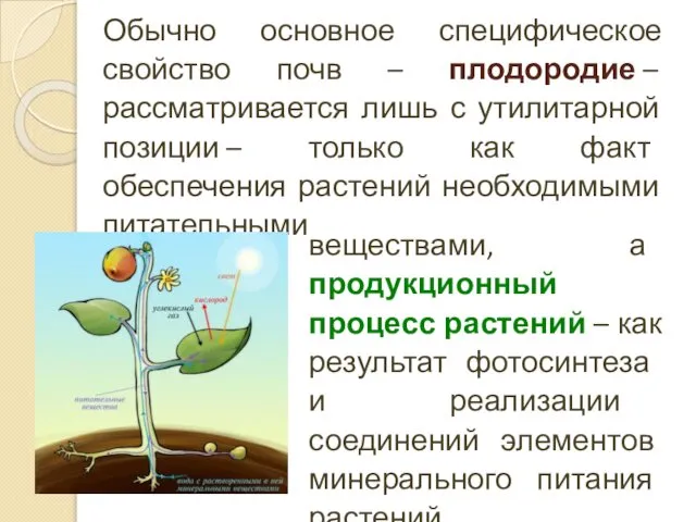 Обычно основное специфическое свойство почв – плодородие – рассматривается лишь с