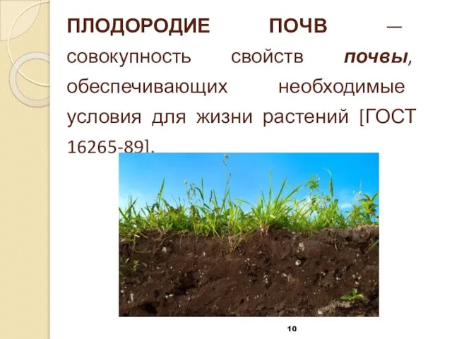 ПЛОДОРОДИЕ ПОЧВ — совокупность свойств почвы, обеспечивающих необходимые условия для жизни растений [ГОСТ 16265-89].