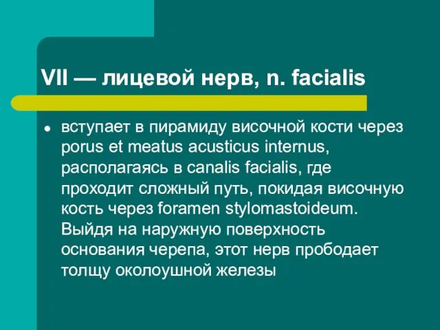 VII — лицевой нерв, n. facialis вступает в пирамиду височной кости
