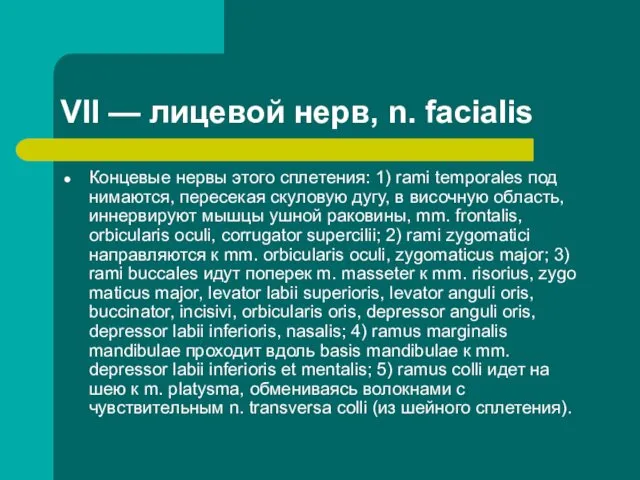 VII — лицевой нерв, n. facialis Концевые нервы этого сплетения: 1)