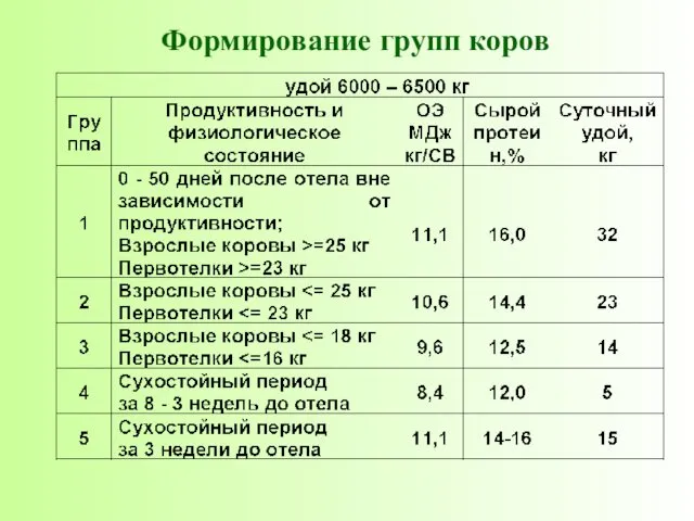 Формирование групп коров