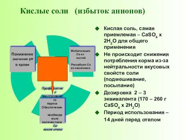 Кислые соли (избыток анионов) Кислая соль, самая приемлемая – CaSO4 x