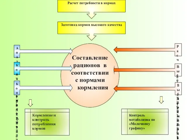 Составление рационов в соответствии с нормами кормления Заготовка кормов высокого качества