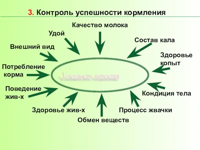 Успешность кормления Удой Внешний вид Кондиция тела Состав кала Качество молока