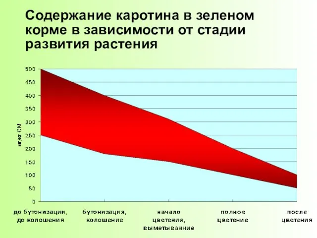 Содержание каротина в зеленом корме в зависимости от стадии развития растения