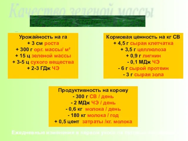 Ежедневные изменения в первом укосе на луговых пастбищах Урожайность на га