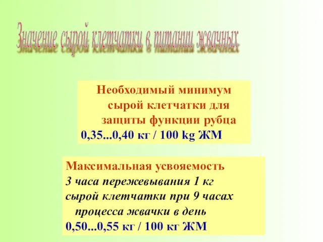 Необходимый минимум сырой клетчатки для защиты функции рубца 0,35...0,40 кг /