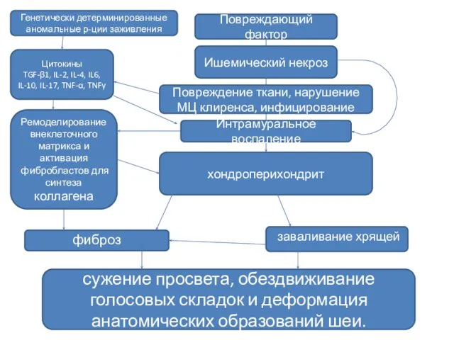 Повреждающий фактор хондроперихондрит фиброз заваливание хрящей сужение просвета, обездвиживание голосовых складок