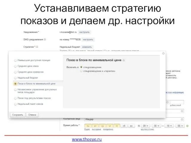 Устанавливаем стратегию показов и делаем др. настройки www.theeye.ru