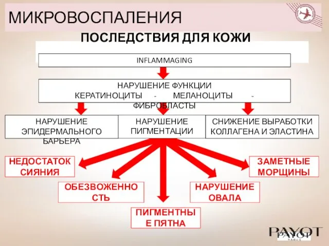 МИКРОВОСПАЛЕНИЯ ОБЕЗВОЖЕННОСТЬ ПИГМЕНТНЫЕ ПЯТНА НЕДОСТАТОК СИЯНИЯ НАРУШЕНИЕ ОВАЛА ЗАМЕТНЫЕ МОРЩИНЫ НАРУШЕНИЕ