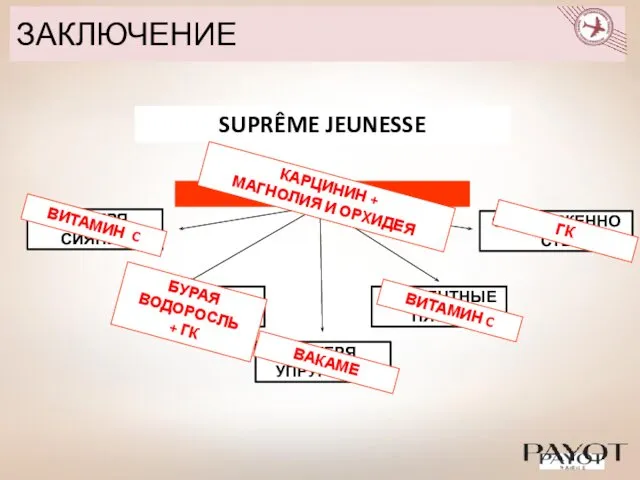 ЗАКЛЮЧЕНИЕ ГЛУБОКИЕ МОРЩИНЫ ПОТЕРЯ УПРУГОСТИ ПОТЕРЯ СИЯНИЯ ПИГМЕНТНЫЕ ПЯТНА ОБЕЗВОЖЕННОСТЬ SUPRÊME