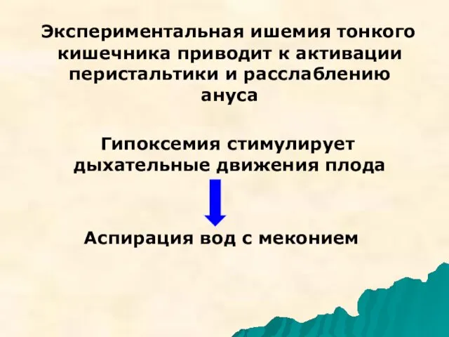 Экспериментальная ишемия тонкого кишечника приводит к активации перистальтики и расслаблению ануса