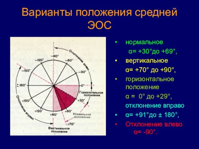 Варианты положения средней ЭОС нормальное α= +30°до +69°, вертикальное α= +70°