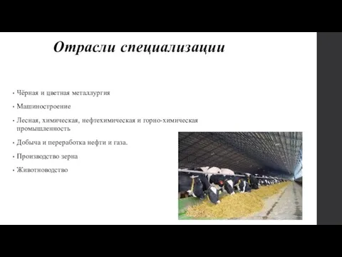 Отрасли специализации Чёрная и цветная металлургия Машиностроение Лесная, химическая, нефтехимическая и