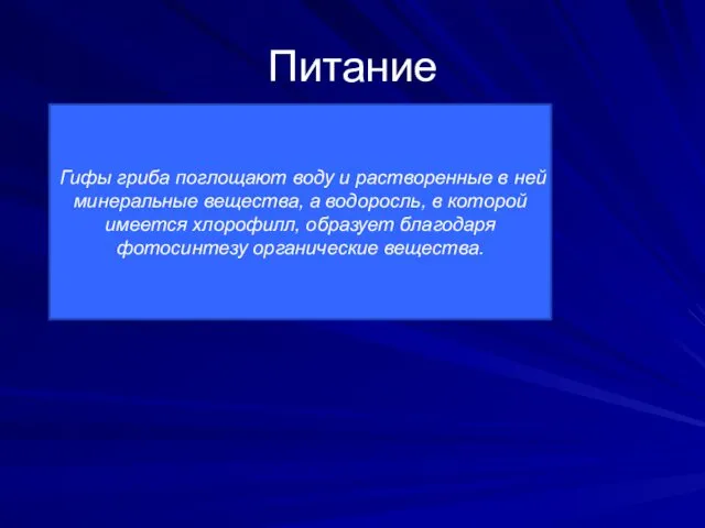 Питание Гифы гриба поглощают воду и растворенные в ней минеральные вещества,