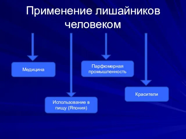 Применение лишайников человеком Медицина Использование в пищу (Япония) Красители Парфюмерная промышленность