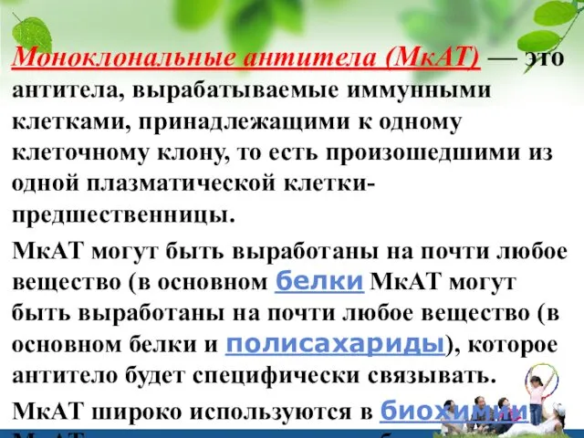 Моноклональные антитела (МкАТ) — это антитела, вырабатываемые иммунными клетками, принадлежащими к