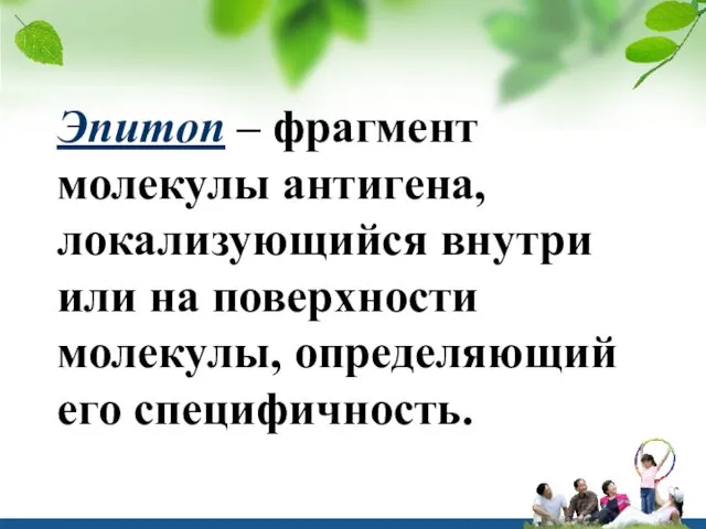 Эпитоп – фрагмент молекулы антигена, локализующийся внутри или на поверхности молекулы, определяющий его специфичность.