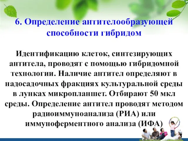 6. Определение антителообразующей способности гибридом Идентификацию клеток, синтезирующих антитела, проводят с