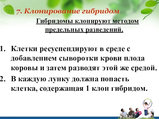 7. Клонирование гибридом Гибридомы клонируют методом предельных разведений. Клетки ресуспендируют в