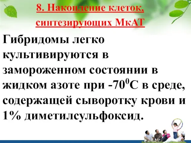 8. Накопление клеток, синтезирующих МкАТ Гибридомы легко культивируются в замороженном состоянии