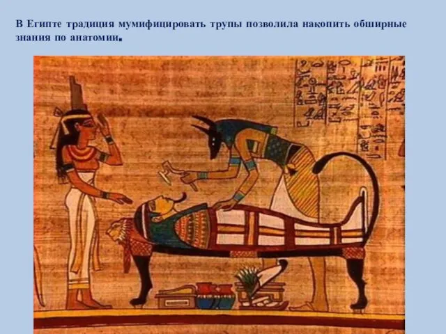 В Египте традиция мумифицировать трупы позволила накопить обширные знания по анатомии.