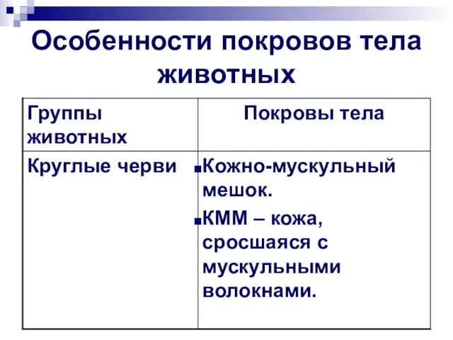 Особенности покровов тела животных