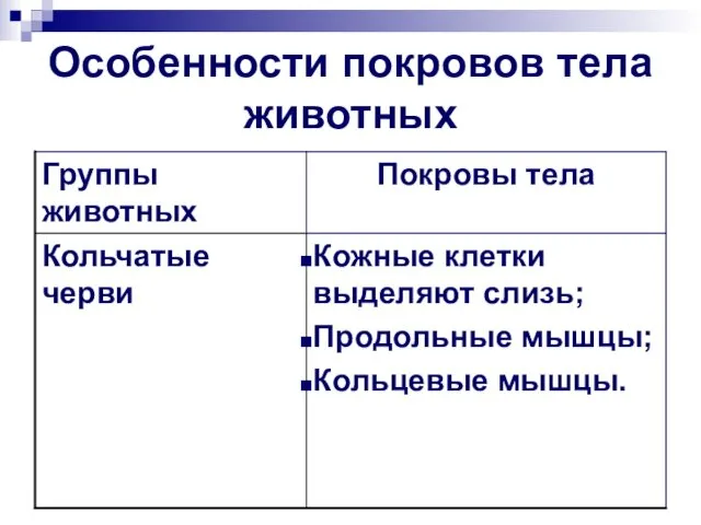 Особенности покровов тела животных