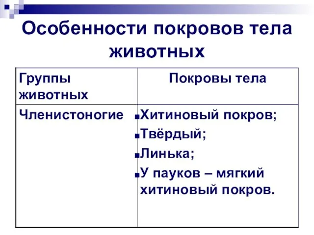 Особенности покровов тела животных