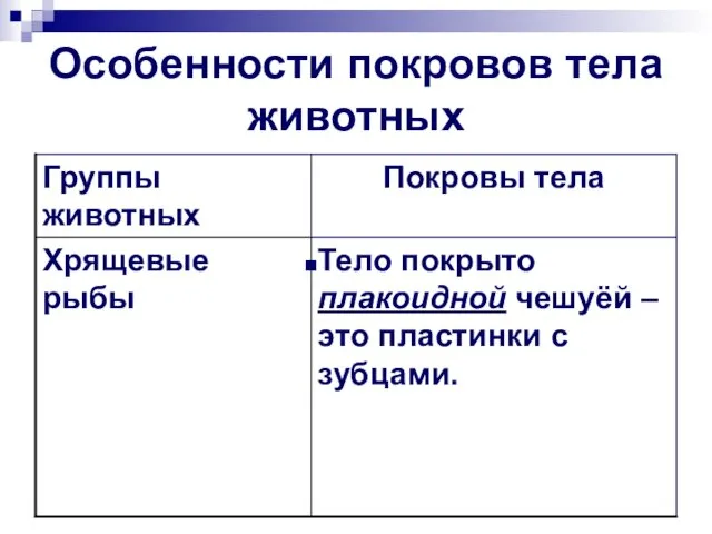 Особенности покровов тела животных