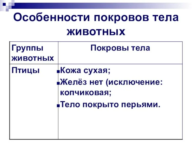 Особенности покровов тела животных