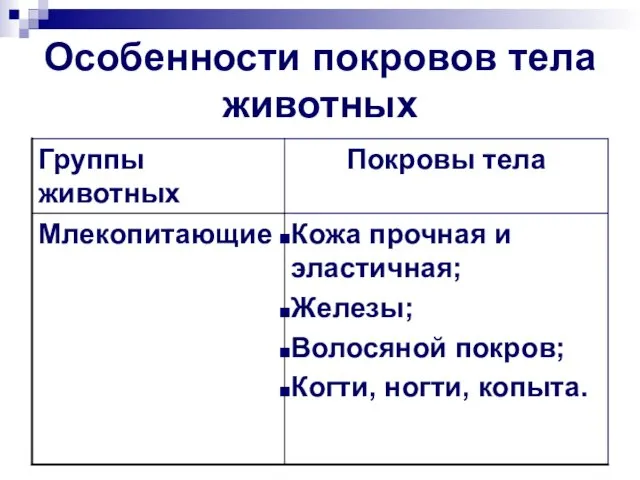 Особенности покровов тела животных