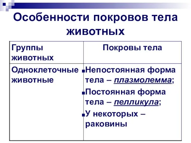 Особенности покровов тела животных