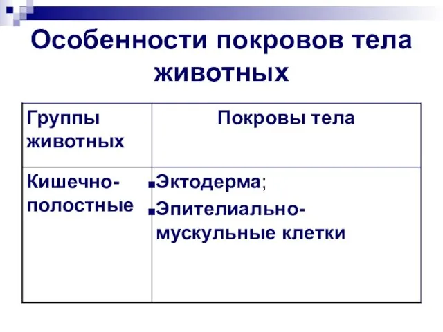 Особенности покровов тела животных