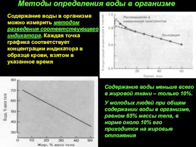 Методы определения воды в организме Содержание воды в организме можно измерить