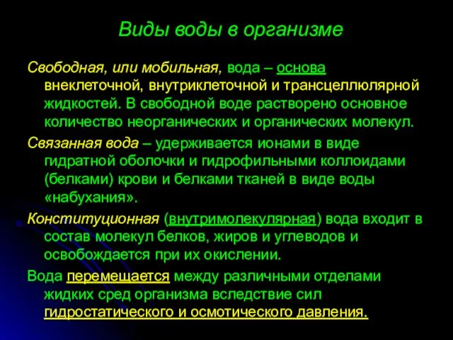 Виды воды в организме Свободная, или мобильная, вода – основа внеклеточной,