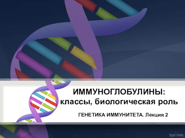 ИММУНОГЛОБУЛИНЫ: классы, биологическая роль ГЕНЕТИКА ИММУНИТЕТА. Лекция 2