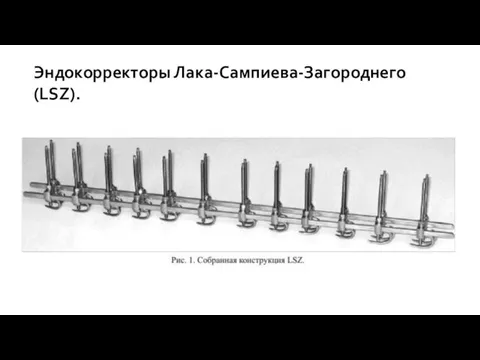 Эндокорректоры Лака-Сампиева-Загороднего (LSZ).