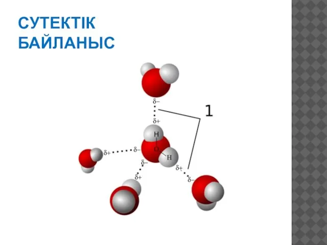 СУТЕКТІК БАЙЛАНЫС