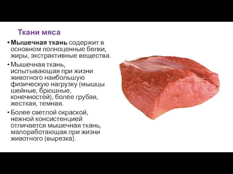 Ткани мяса Мышечная ткань содержит в основном полноценные белки, жиры, экстрактивные