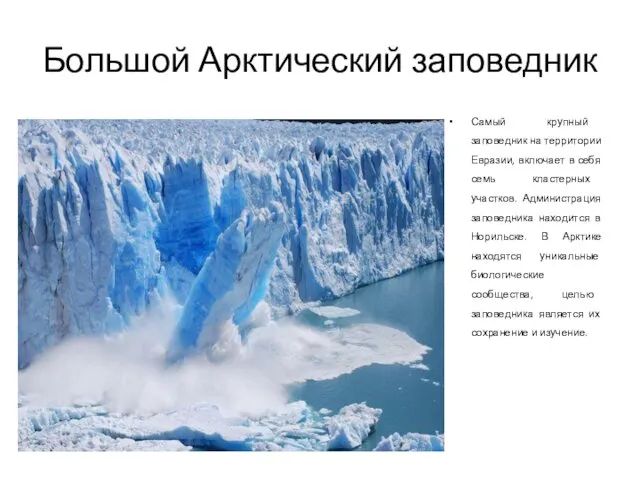 Большой Арктический заповедник Самый крупный заповедник на территории Евразии, включает в