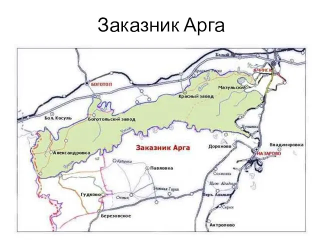 Заказник Арга