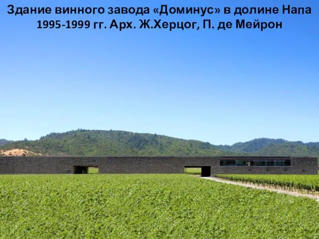 Здание винного завода «Доминус» в долине Напа 1995-1999 гг. Арх. Ж.Херцог, П. де Мейрон