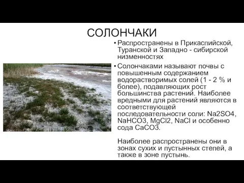 СОЛОНЧАКИ Распространены в Прикаспийской, Туранской и Западно - сибирской низменностях Солончаками