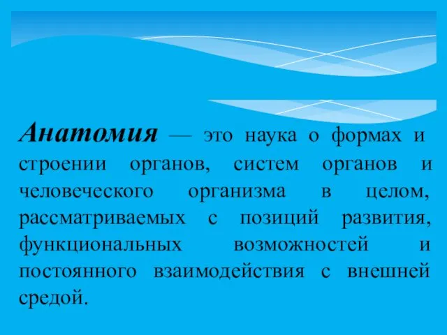 Анатомия — это наука о формах и строении органов, систем органов