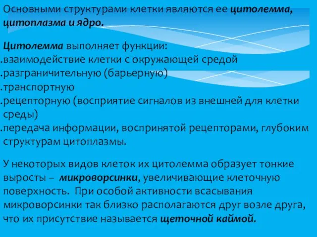 Основными структурами клетки являются ее цитолемма, цитоплазма и ядро. Цитолемма выполняет