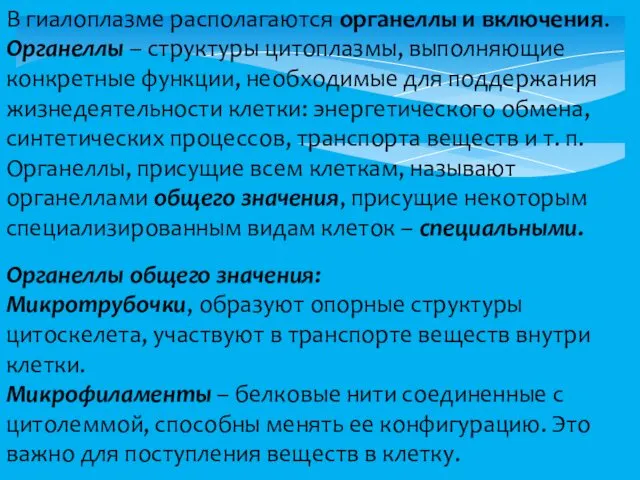 В гиалоплазме располагаются органеллы и включения. Органеллы – структуры цитоплазмы, выполняющие